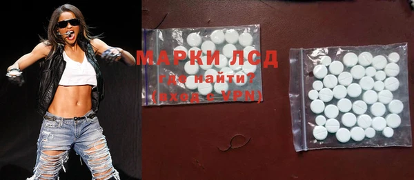 гашик Алагир