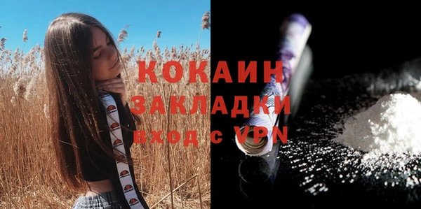 гашик Алагир