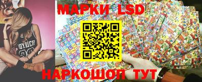 крисы Кинель