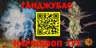 крисы Кинель