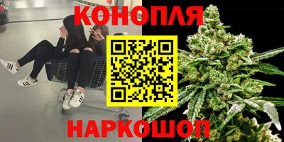 крисы Кинель