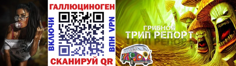 продажа наркотиков  Маркс  Псилоцибиновые грибы Psilocybine cubensis 