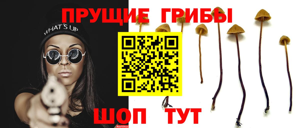 Галлюциногенные грибы GOLDEN TEACHER Маркс